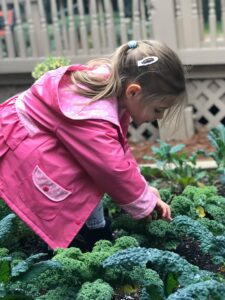 child leaning down to touch plants wearing a pink coat