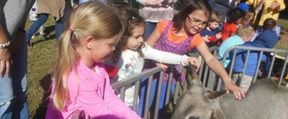Fun with Farm Animals Petting Zoo at CountrySide