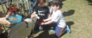 Exotic Petting Zoo visits Children at CountrySide