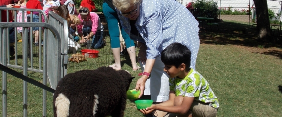 Petting Zoo Excitement with animals for the students