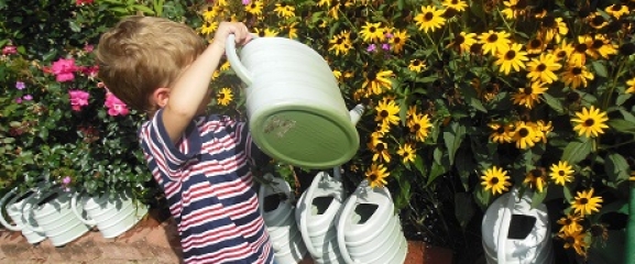 The young boy is watering plants in the garden