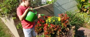 A child learns how to take care of plants in the garden