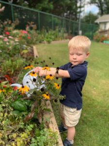 Watering plants!